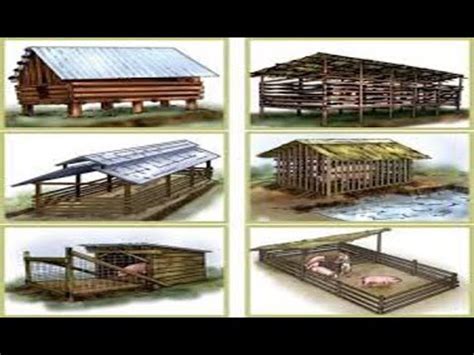 KULUNGAN NG BABOY (DESIGN) ICool .